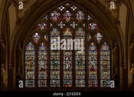 Wells, Cattedrale, Jesse-Fenster im Chor , St., Sankt, Saint Foto Stock