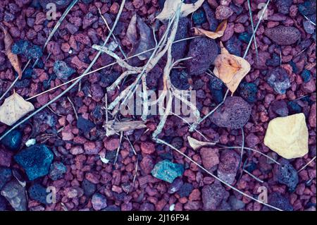 Rami asciutti e radici giacciono su pietre di diversi colori e dimensioni. Vista dall'alto. Foto Stock