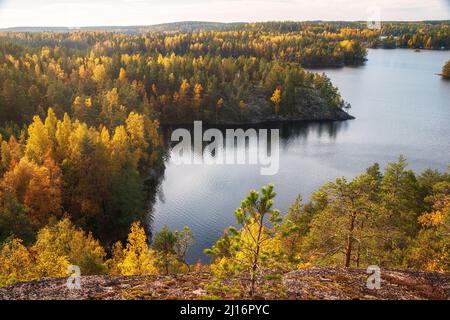 Bellissimo paesaggio autunnale. Foreste e laghi della Finlandia meridionale. Parco Nazionale di Repovesi a South Karelia, Finlandia Foto Stock