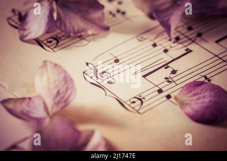 Musica con fiori secchi in stile vintage Foto Stock