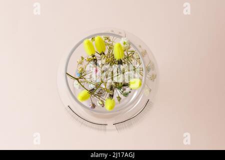 Spazzole gialle per ciglia finte in vetro su sfondo chiaro. Flat Lay copia spazio bellezza moda. Foto Stock