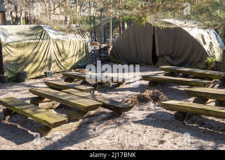 Hel, Polonia - 20 marzo 2022: Il museo militare all'aperto. Il Museo Coastal Defense di Hel Foto Stock