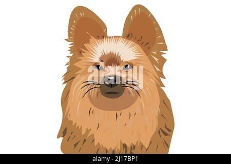Yorkshire terrier, ritratto del cane in dettaglio. . Illustrazione vettoriale Illustrazione Vettoriale
