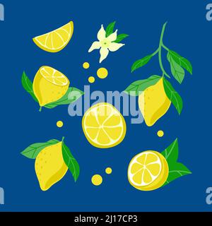 Set di limoni luminosi, elementi disegnati a mano. Estate. Fette di limone e rami di albero. Limoni gialli con foglie e fiori su sfondo blu scuro. Illustrazione Vettoriale