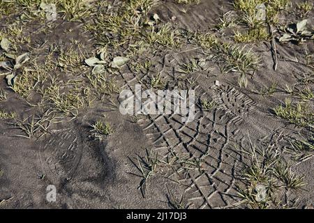 Stampe della pista del pneumatico sul fango Foto Stock