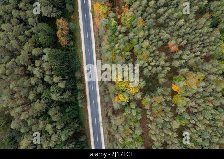 Drone vista di asfalto strada che taglia attraverso verde autunno foresta Foto Stock