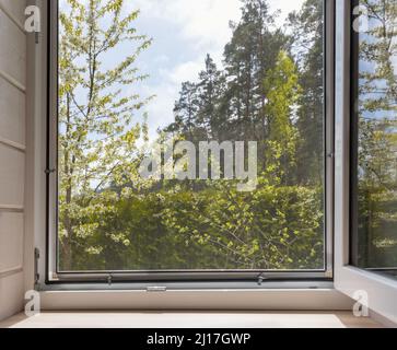 Finestra bianca con rete di mosuito in una casa rustica in legno che si affaccia sul giardino fiorito. Foto Stock