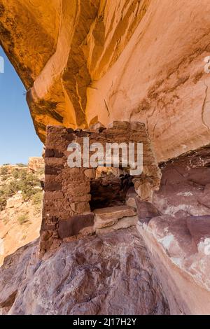 Un'antica scogliera di Puebloan risalente a 1.000 anni fa, che dimora nel Mule Canyon a Cedar Mesa, nel Monumento Nazionale delle orecchie JAA Foto Stock