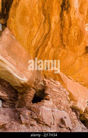 Un'antica scogliera di Puebloan risalente a 1.000 anni fa, che dimora nel Mule Canyon a Cedar Mesa, nel Monumento Nazionale delle orecchie JAA Foto Stock