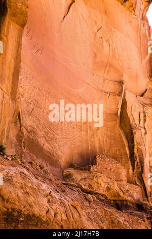 Un'antica scogliera di Puebloan risalente a 1.000 anni fa, che dimora nel Mule Canyon a Cedar Mesa, nel Monumento Nazionale delle orecchie JAA Foto Stock