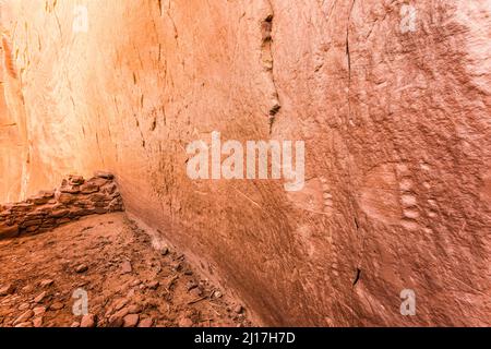 I petroglifi dell'arte di roccia scolpiti in un muro di arenaria in una rovina ancestrale del Puebloan nel canyon del Mule su Cedar Mesa nell'unità di JAA della cesoia delle orecchie N degli orsi Foto Stock