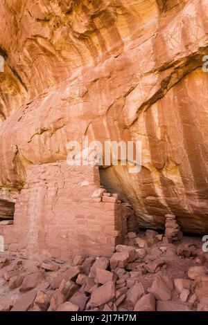 Un'antica scogliera di Puebloan risalente a 1.000 anni fa, che dimora nel Mule Canyon a Cedar Mesa, nel Monumento Nazionale delle orecchie JAA Foto Stock