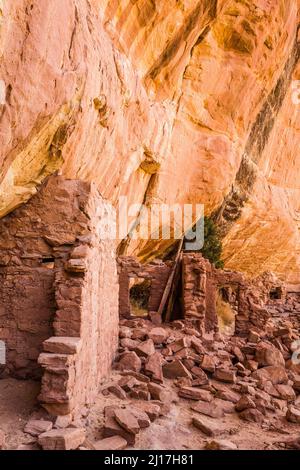 Un'antica scogliera di Puebloan risalente a 1.000 anni fa, che dimora nel Mule Canyon a Cedar Mesa, nel Monumento Nazionale delle orecchie JAA Foto Stock