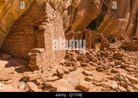 Un'antica scogliera di Puebloan risalente a 1.000 anni fa, che dimora nel Mule Canyon a Cedar Mesa, nel Monumento Nazionale delle orecchie JAA Foto Stock