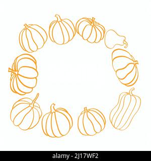 Set di diverse zucche, illustrazione isolata su sfondo bianco Illustrazione Vettoriale