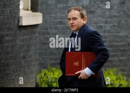 Downing St. London, Regno Unito. 23rd marzo 2022.il deputato di Rt Hon George Eustice Segretario di Stato per l'ambiente, l'alimentazione e gli affari rurali, arrivando al 10 Downing Street per la riunione del gabinetto questa mattina. Chris Aubrey/Alamy Live News Foto Stock