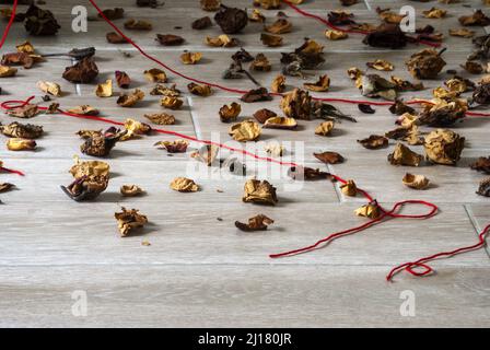 Petali di fiori secchi insieme a foglie verdi e fili rossi che rappresentano la solitudine e la speranza nella quarantena COVID 19 in Guatemala Foto Stock