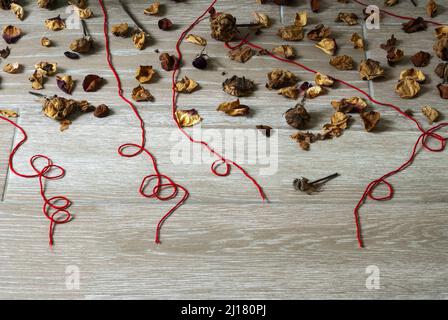 Petali di fiori secchi insieme a foglie verdi e fili rossi che rappresentano la solitudine e la speranza nella quarantena COVID 19 in Guatemala Foto Stock