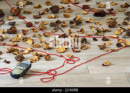 Petali di fiori secchi insieme a foglie verdi e fili rossi che rappresentano la solitudine e la speranza nella quarantena COVID 19 in Guatemala Foto Stock