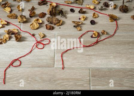 Petali di fiori secchi insieme a foglie verdi e fili rossi che rappresentano la solitudine e la speranza nella quarantena COVID 19 in Guatemala Foto Stock