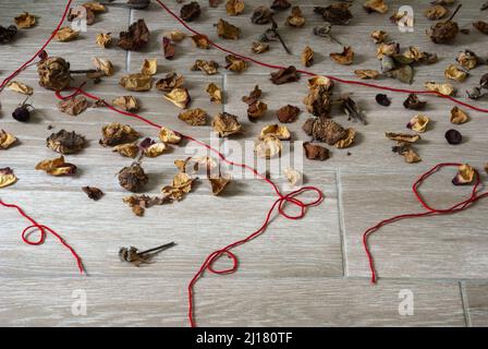 Petali di fiori secchi insieme a foglie verdi e fili rossi che rappresentano la solitudine e la speranza nella quarantena COVID 19 in Guatemala Foto Stock