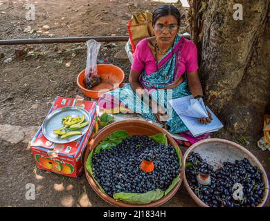 Una vecchia nonna indiana che vende frutta fresca nera corrente sotto l'albero e aspetta il cliente Foto Stock