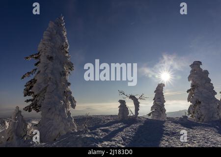 Sculture di neve astratte a forma di vento e tempo sulla cima del Monte Lusen, il Parco Nazionale Bavarese di Forrest Foto Stock