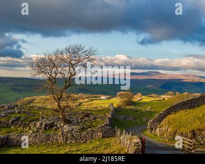 Pen-y-Gand visto dalla riserva naturale di Winskill, Yorkshire Foto Stock