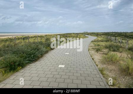 Vista panoramica del percorso ciclabile lungo la spiaggia del Mare del Nord e le dune di Kijkduin, nei Paesi Bassi, contro il cielo nuvoloso Foto Stock