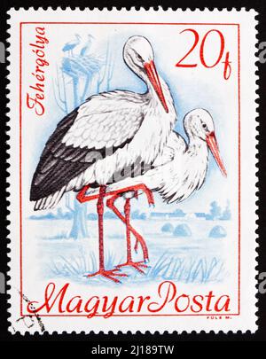 UNGHERIA - CIRCA 1968: Un francobollo stampato in Ungheria mostra White Storks, Ciconia Ciconia, Bird, circa 1968 Foto Stock