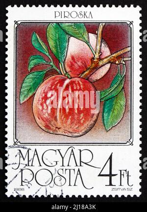 UNGHERIA - CIRCA 1986: Un francobollo stampato in Ungheria mostra pesche, Prunus Persica, frutta, circa 1986 Foto Stock