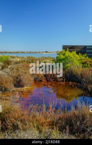 Parco regionale delle saline e banchi di sabbia del Mar Menor. Murcia. Spagna. Foto Stock