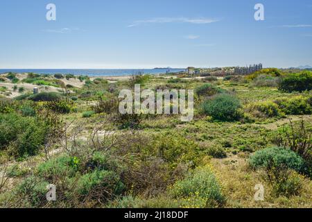 Parco regionale delle saline e banchi di sabbia del Mar Menor. Murcia. Spagna. Foto Stock