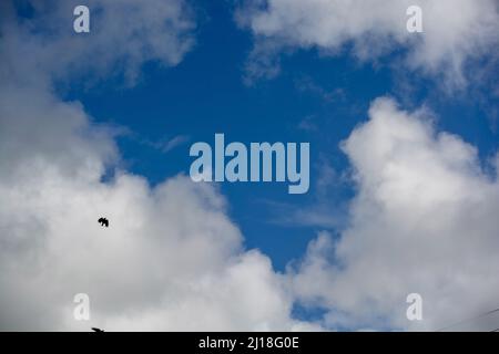 Nuvole bianche e sfondo blu a tema cielo Foto Stock