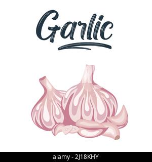 Aglio isolato su sfondo bianco. Illustrazione vettoriale. Aglio Bulbi e spicchi in design piatto isolato su sfondo bianco. Illustrazione Vettoriale