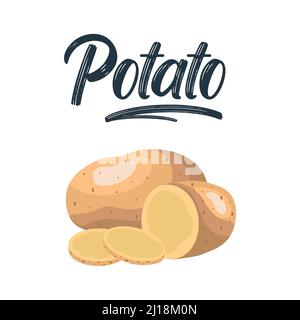 Patate isolate su sfondo. Set di cunei, interi, fette, metà, anelli di patate. Vista dall'alto dell'illustrazione vettoriale Illustrazione Vettoriale