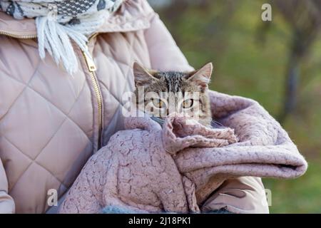 Ragazza per strada tiene un gatto avvolto in una plaid rosa Foto Stock