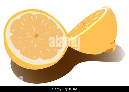 Agrumi, limone, arancia tagliata a metà. Illustrazione vettoriale Illustrazione Vettoriale