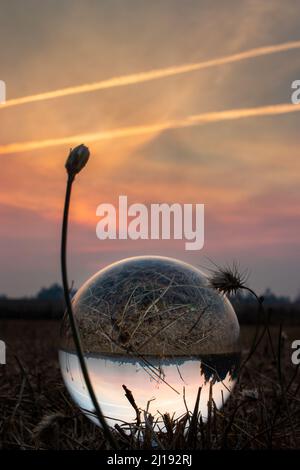 Un primo piano del tramonto in una sfera di cristallo sull'erba Foto Stock