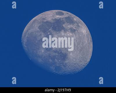 La luna con il 86% di visibilità fotografata da un telescopio su sfondo blu nel marzo 2022 Foto Stock