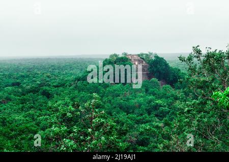 Antica piramide Maya della città perduta Calakmul circondata dalla giungla verde di Campeche, Messico Foto Stock