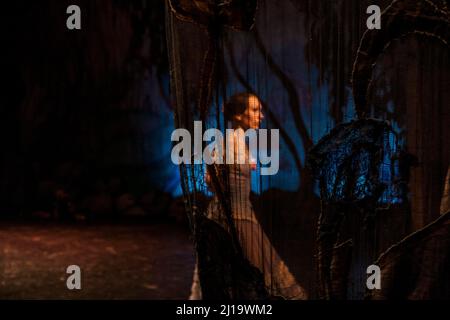 Ballerina ballerina attraverso un sipario durante lo spettacolo del Lago di Cigno di Tchaikovsky a San Pietroburgo, Russia, Europa dell'Est Foto Stock