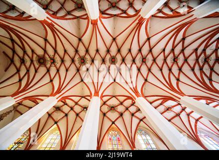 Vista interna, volta a soffitto, Thomaskirche, Thomaskirchhof, Lipsia, Sassonia, Germania Foto Stock