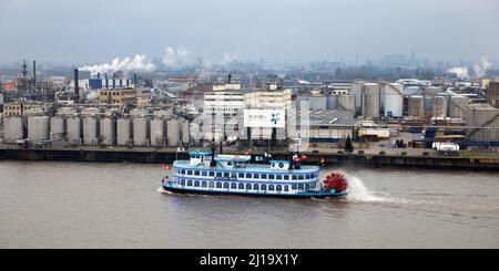 Nave passeggeri Lousianna Star sulla Noderelbe di fronte alla Sasol Wax Chemical Plant, Amburgo, Germania Foto Stock