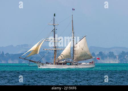 Il brigantino, Soren Larsen, che ha partecipato alla serie televisiva della BBC, la linea Onidin, che naviga nel Golfo di Hauraki, Auckland, Nuova Zelanda, Foto Stock