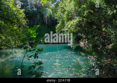 Con la sua magnifica vista, mini cascate, laghi e ponti, l'interno del Kursunlu Waterfall Park è un gregge di pesci che nuotano nel lago. Foto Stock