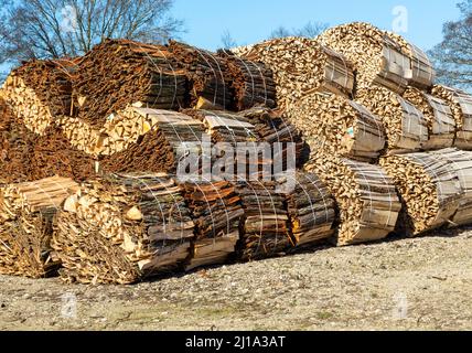 Fasci di scarti di legno e corteccia in una segheria di salice, Suffolk, Inghilterra, Regno Unito Foto Stock