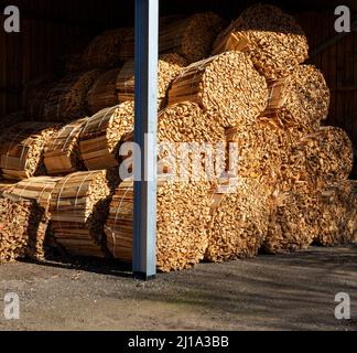 Unde di scarti di legno in una segheria di salice, Suffolk, Inghilterra, Regno Unito Foto Stock