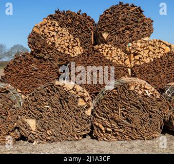 Fasci di scarti di legno e corteccia in una segheria di salice, Suffolk, Inghilterra, Regno Unito Foto Stock