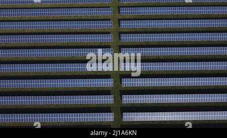 Turves, Regno Unito. 23rd Mar 2022. Il sole splende sui pannelli solari di questa fattoria solare vicino a Turves, Cambridgeshire, Regno Unito, che fornisce energia per le aziende di energia elettrica. Credit: Paul Marriott/Alamy Live News Foto Stock